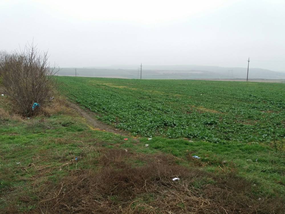 Vanzare--20000-mp-teren-la-E60