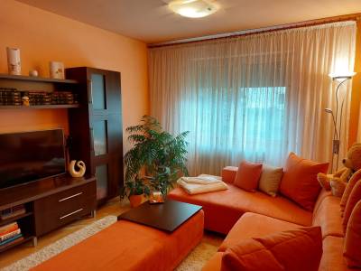 De vanzare apartamernt 3 camere - zona Tudor-6-IMG-nav