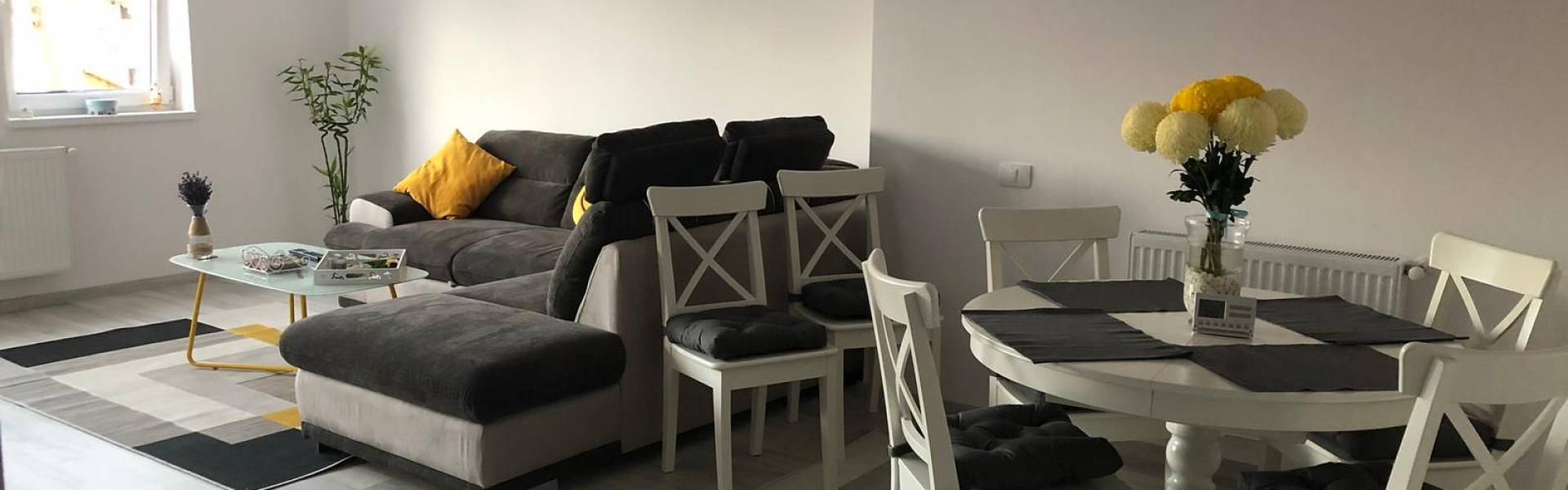 Apartament lux 2 camere la vila 